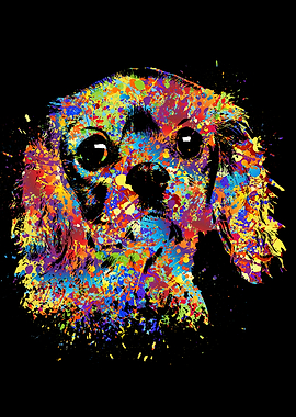 Cavalier King Charles