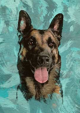 Malinois - Belgian shepher
