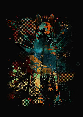 Malinois - Belgian shepher