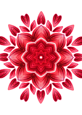 Red Petal Abstract Flower