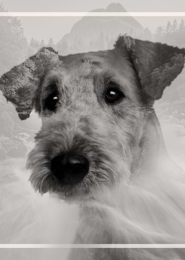 Airedale Terrier Portrait