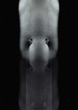 tuesdaythe7thofaugust2018