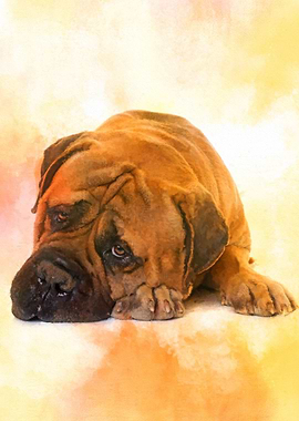 Bullmastiff