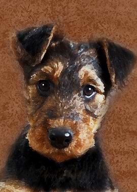 Airedale Terrier Puppy