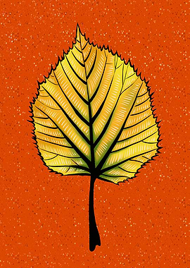Yellow Linden Leaf