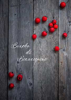Hawthorn berries