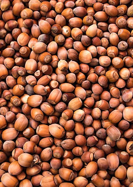 Hazelnuts