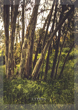 Cyprus Nature