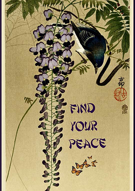 Find Your Peace