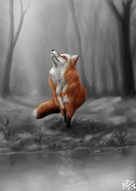 Fox Dreaming