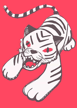 White siberian tiger