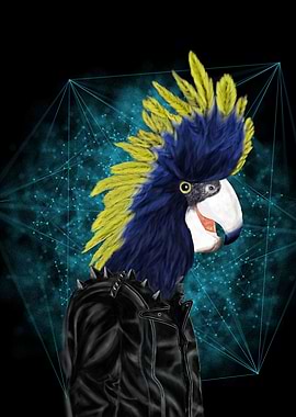 Punk Cockatoo