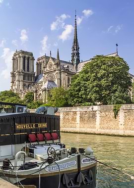PARIS Cathedral Notre Dame