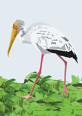 yellow billed stork