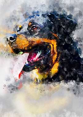 Roman the Rottweiler