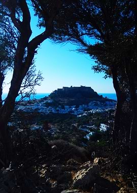 Lindos framed by trees