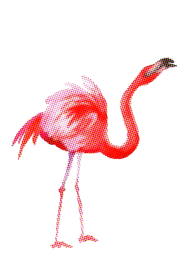 Flamingo III