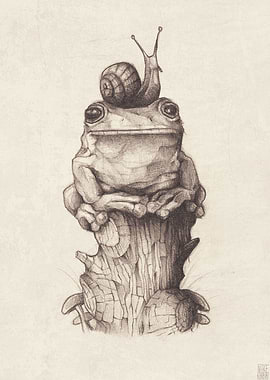 frog and snail