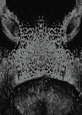 saturday25thofaugust2018