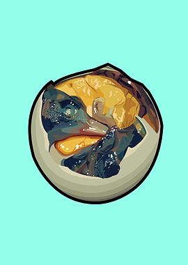 BALUT