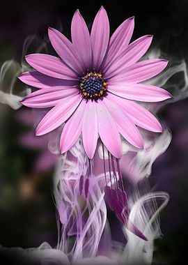 Purple Flower in the Mist