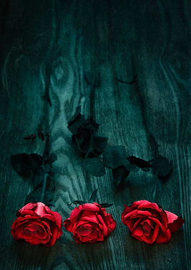 Three red roses