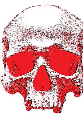 Dotted Skull (Old Friend)