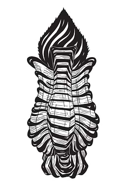 Zebra stripes