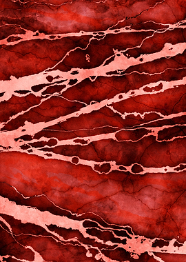 MARBLED VALIANT POPPY-2