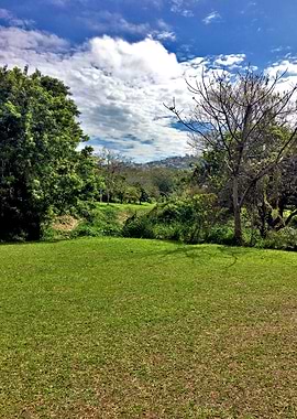 urban landscape brasil-6