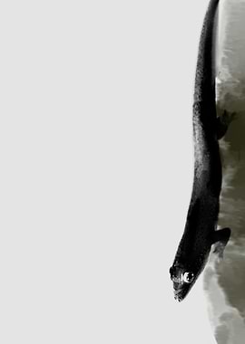 Phelsuma Madagascariensis