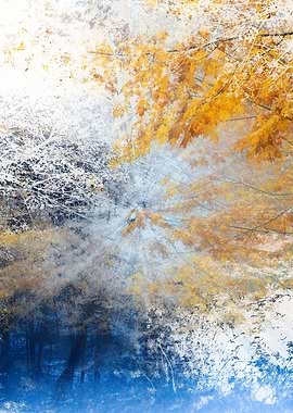 The splintered light