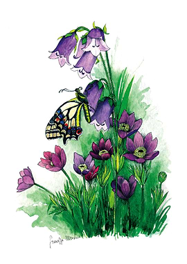 Butterfly in the Bells