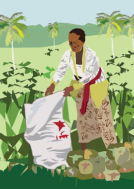 woman loading coconuts