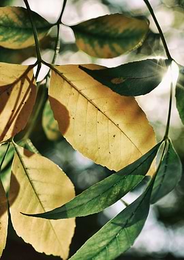 Summer's almost gone