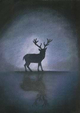 Stag
