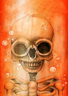 laboratory skull