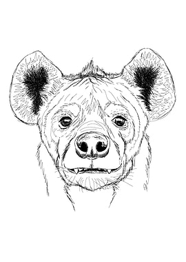 Black and white hyena
