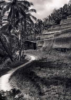 TEGALALANG RICE TERRACE