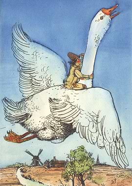 'The wonderful adventures