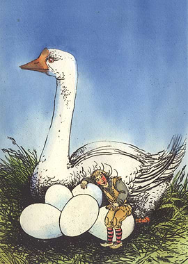 'The wonderful adventures