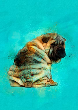 Shar-Pei puppy