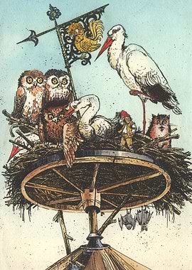 'The wonderful adventures