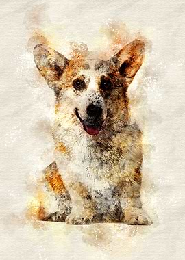 Welsh Corgi
