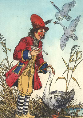 'The wonderful adventures