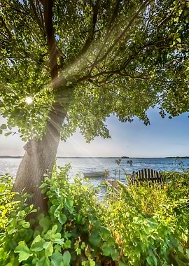 GERMANY Lovely Lake Ploen
