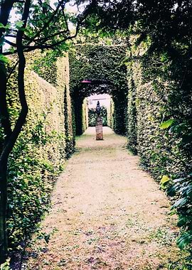 Sculpture in the distance