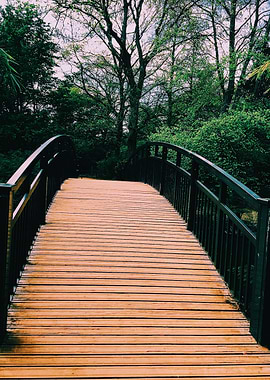 Wooden Bridge