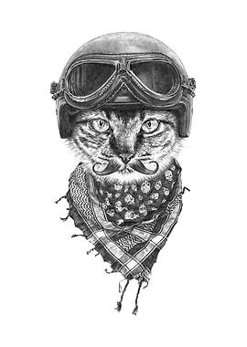Biker Cat