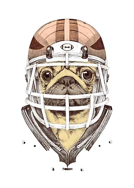 American Football Pug